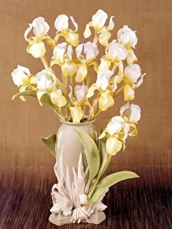 Flowers Collection: Royal Worcester Porcelain Irises