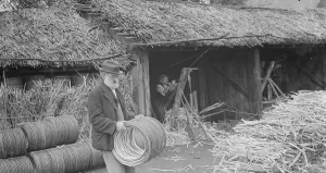 Products Prints: Rural farmers build basket hoops in Paddock Wood. 1936 Rural farmers build in