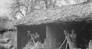 Farming Prints: Rural farmers build in Paddock Wood. 1936