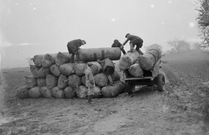 Sacks Prints: Sacks of surplus hops, which will be used as manure, stacked on to a horse and cart