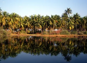 Sacred India Laccadives Lakshadweep The beautiful atoll islands of the Laccadives