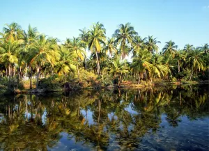 Sacred India Laccadives Lakshadweep The beautiful atoll islands of the Laccadives