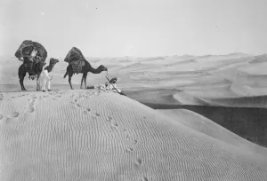 Animal Prints: Sahara search for lost airships crew. A striking view in the great Sahara Desert