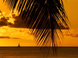 Paradise Prints: Sail Ship off Antiqua at sunset