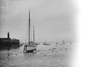 Sails Prints: A sailing yacht stuck in the low tide mud waiting for the water to return