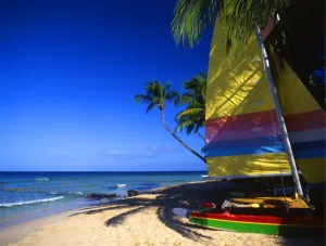 Sails and palms on Galley Bay beach, Antigua