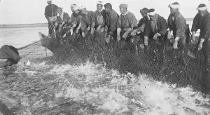 Salmon fisheries West Coast of Kamchatka in Russia 1920