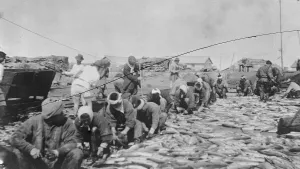 Salmon fisheries West Coast of Kamchatka, Russia 1920