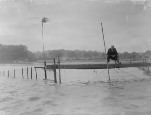 Fisherman Prints: Salmon fishing off a jetty in Scotland. 1935