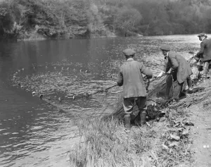 Salmon fishing at Symonds Yat