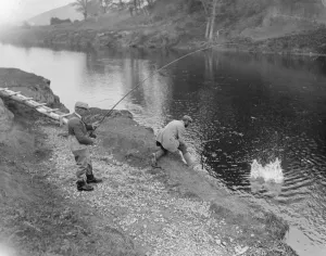 Fishing Prints: Salmon fishing at Symonds Yat