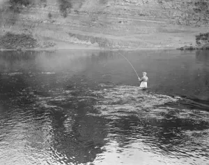 Salmon fishing at Symonds Yat