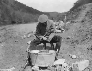 Salmon fishing at Symonds Yat Marking smolts