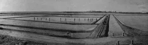 Salt evaporating Pans at Dharasva, India. November 1930