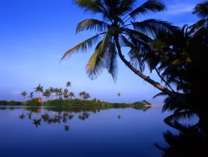 Palm Tree Prints: Salt Water Lake at Kuskoda, with beach over headland