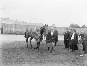 Sansovino racehorse 1924