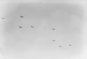 Saturdays Great Air Force Pageant at Hendon Fight giant bombing planes flying