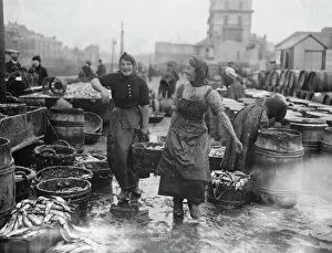 Women Collection: Scotch lassies engaged in curing kippers at Douglas, on the Isle of Man September