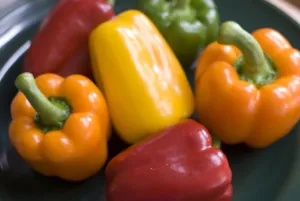 Shiny Prints: Selection of shiny resh sweet peppers on green plate credit: Marie-Louise Avery