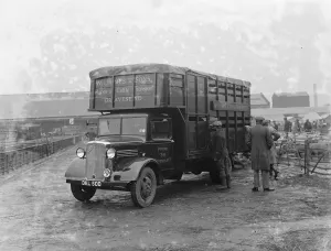 Sheep are being loaded up onto a Bedford lorry belonging to W James & Sons Horse