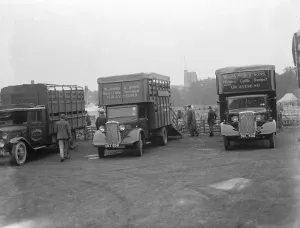 Sheep are being loaded up onto a Bedford lorry belonging to W James & Sons Horse