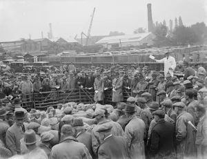Sheep sale in Maidstone, Kent. 1936