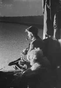 Shepherd at night, Farningham. 1934