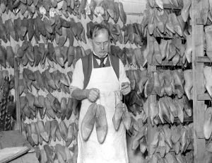 Last and shoe making at W. H. Smith, Sloane Street. Two models of ladies feet