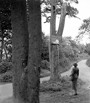 Crossroads Collection: Sign for hikers in Otford, Kent. 1933