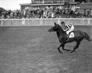 Horses Prints: Silver Spear II at Goodwood Racecourse, Sussex, England. 1937