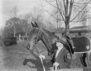 Silvo, F B Rees. 1925