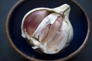 Bowl Prints: Single bulb of garlic broken open in small bowl credit: Marie-Louise Avery / thePictureKitchen