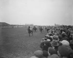 Race Prints: Sir Gallahad, wins the Lincolnshire handicap. The finish of the race. 26