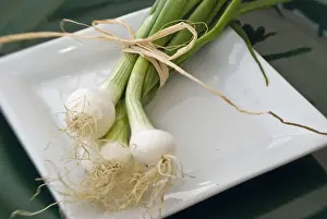 Small bindle of fresh salad onions on white plate credit: Marie-Louise Avery /