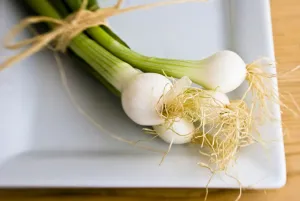 Green Prints: Small bindle of fresh salad onions on white plate credit: Marie-Louise Avery /