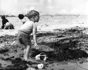 Holidays Prints: Small boy playing on the beach at Elmer Sands, Sussex, 1950 s