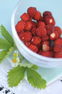 Fresh Collection: Small glass bowl of freshly gathered wild strawberries with flowers and leaves credit