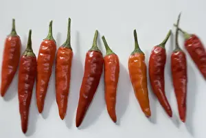 Food Prints: Small hot birds eye chilli peppers arranged on white surface. credit: Marie-Louise