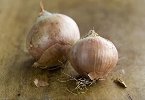 Ingredients Collection: Two whole small onions unpeeled on wooden board credit: Marie-Louise Avery / thePictureKitchen