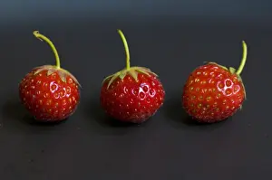 Berry Prints: Three small strawberries in a row on black plate credit: Marie-Louise Avery / thePictureKitchen
