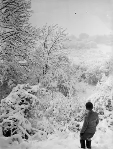 Wood Prints: Snow scenes in Biggin Hill, Kent. 1939