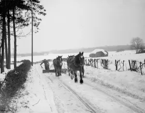 Horse Drawn Prints: Snow scenes ( snow plough ) Eynsford. 1938