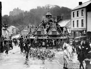 A Somerset Hunt - The West Somerset Foxhounds moving off in the High Street of Dunster