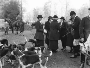 South Oxfordshire Hunt. At the Nuneham Court meet. The Hon Olivia Harcourt