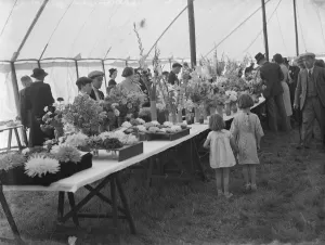 The Spring Flower Show at Longfields, Kent. 1939