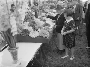 The Spring Flower Show at Longfields, Kent. 1939