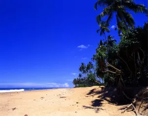 Paradise Prints: Sri Lanka. Beach to north of Galle