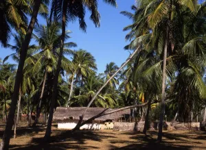 Sri Lanka Housing