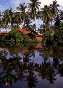 Reflection Prints: Sri Lanka Negombo