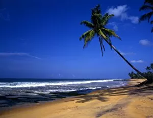 Islands Collection: Sri Lanka North of Galle